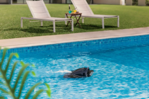 L’Ingénierie de l’Invisible